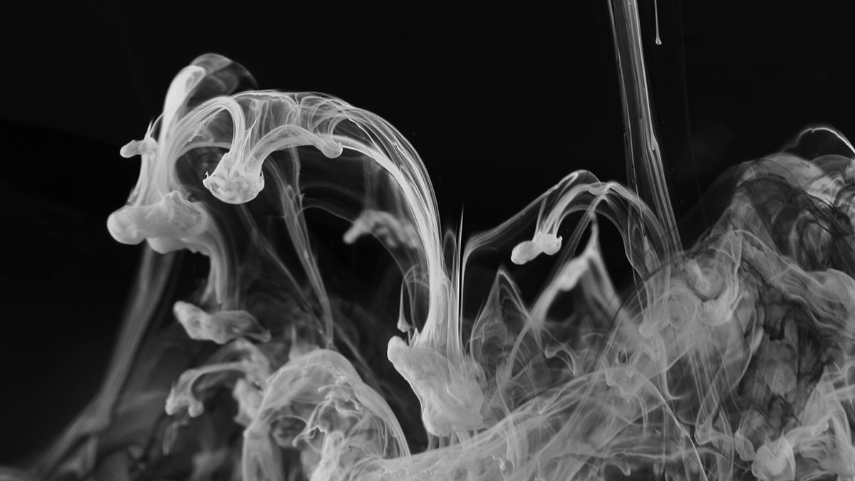 Kompetenzen Back Header